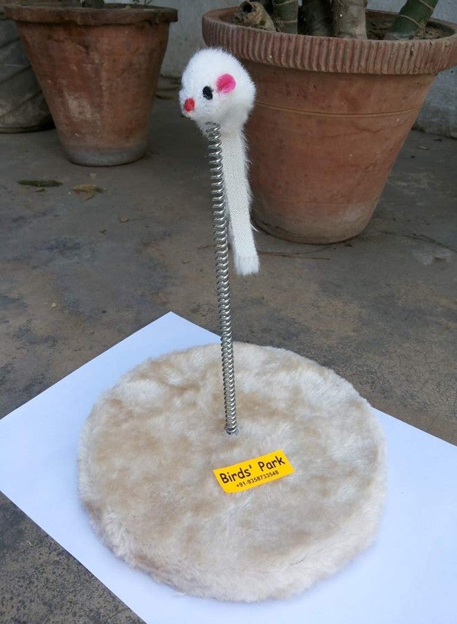 Birds' Park Cat Toy with Rat Spring Imported Good Toys for cat to Play for Fun - Image 2